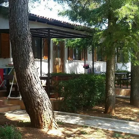 Sanja Sveti Servul Novigrad (Istria)