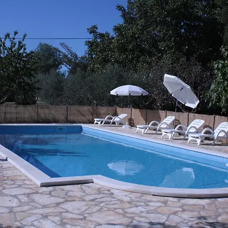 Sanja Sveti Servul Novigrad (Istria)