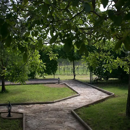 Apartment Sanja Sveti Servul Novigrad (Istria)