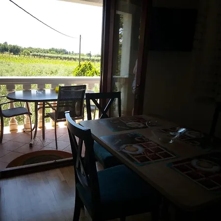 Sanja Sveti Servul Novigrad Istria