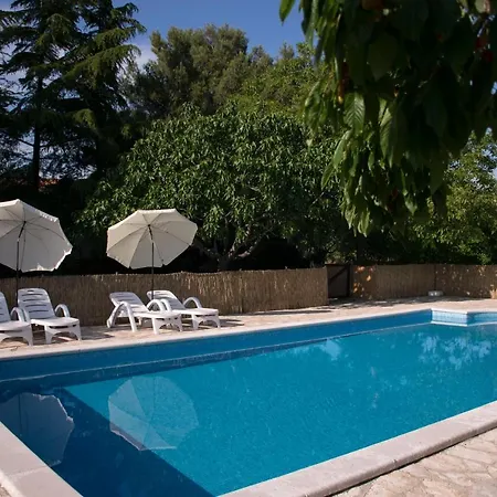 Sanja Sveti Servul Novigrad Istria